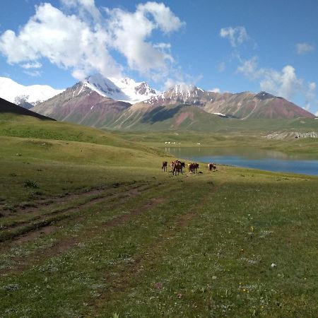 Pamir Nomad Yurt Camp Hotel Kara-Kavak Kültér fotó