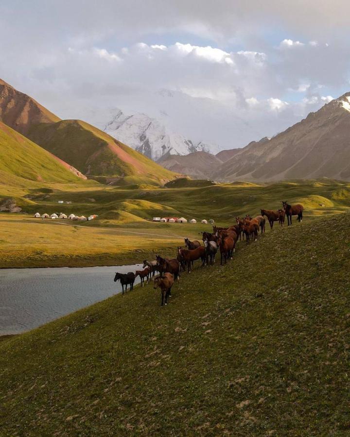 Pamir Nomad Yurt Camp Hotel Kara-Kavak Kültér fotó
