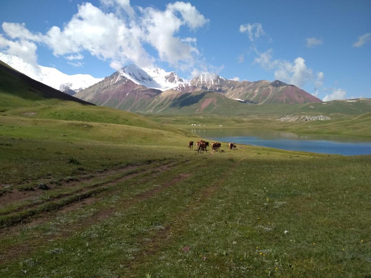 Pamir Nomad Yurt Camp Hotel Kara-Kavak Kültér fotó