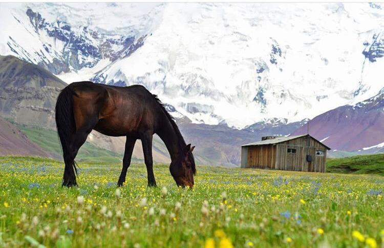 Pamir Nomad Yurt Camp Hotel Kara-Kavak Kültér fotó